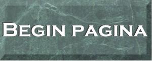 BEGIN PAGINA